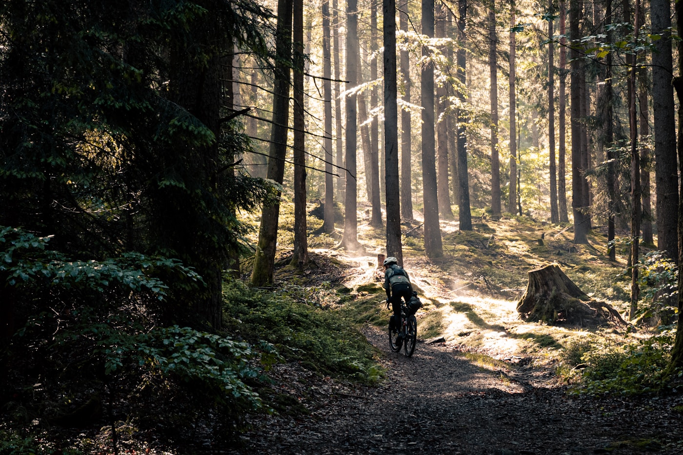 Sentier cyclable